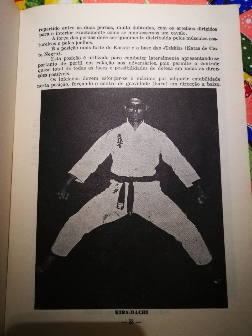 Livro Ruy Mendonça karaté