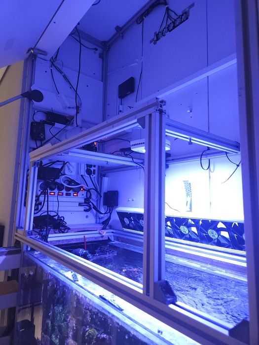 Zestaw w zabudowie - akwarium morskie 250l 100x50x50