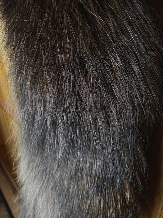 Натуральный меховой воротник енот