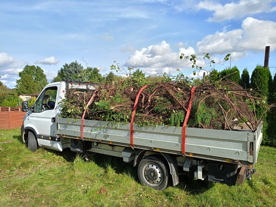Wywóz, utylizacja, Opróżnianie, porządki, kontener