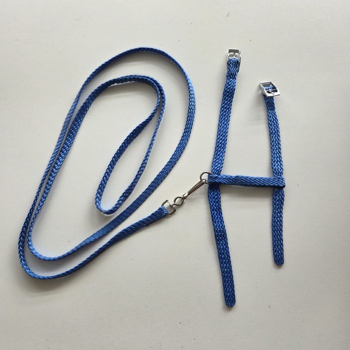 Szelki smycz dla małego szczeniaka, kota, królika szczura niebieski