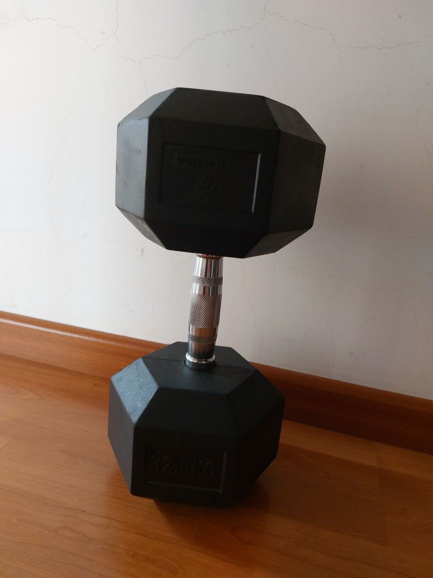 Halter hexagonal 32,5 kg