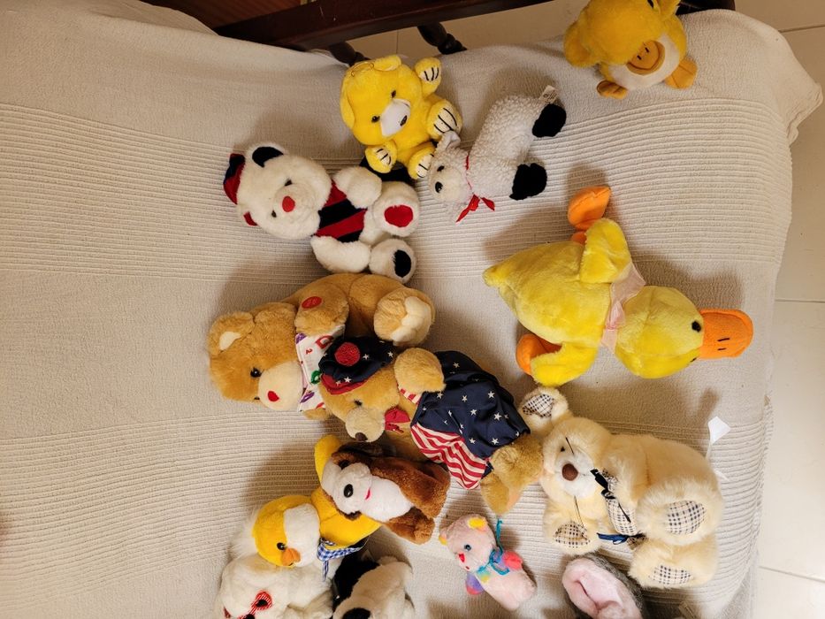 Brinquedos para cães