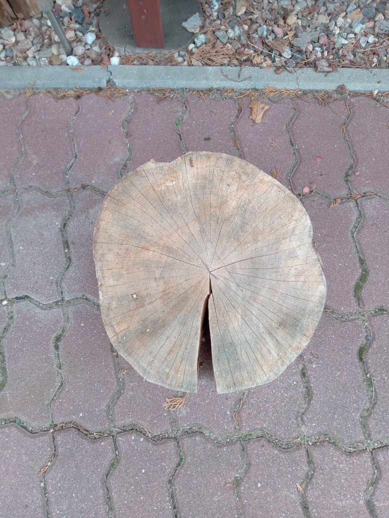 Pieńki,plastry.,dębowe  sezonowane parę lat