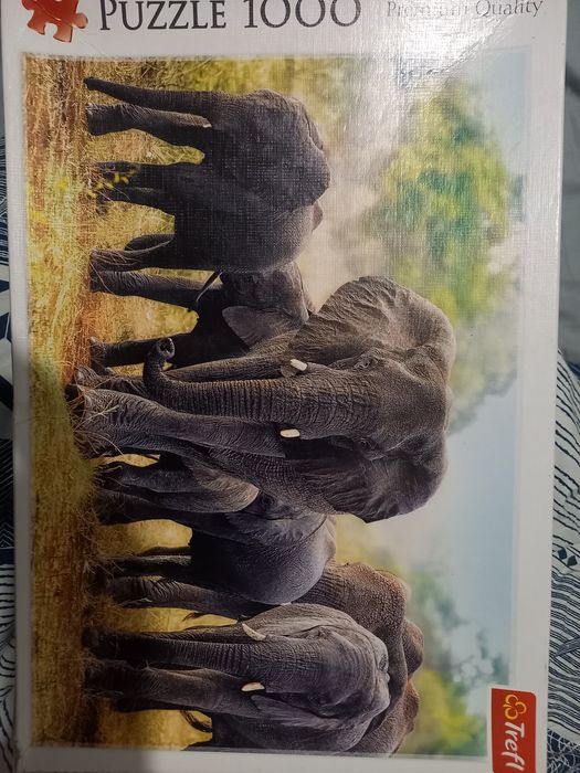Puzzle 1000 sztuk, słonie Trefl