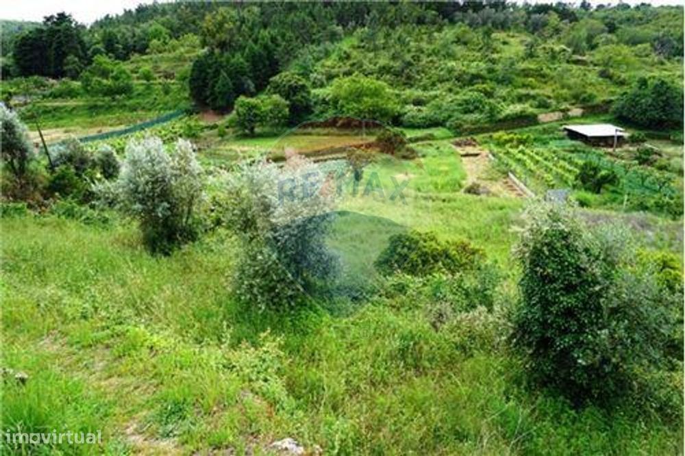 Terreno amplo para construção em Assafarge-Coimbra