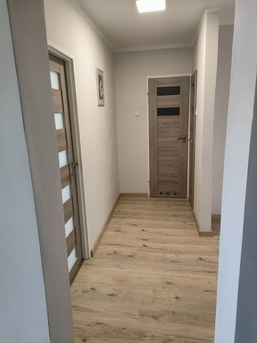 Mieszkanie 3 pokojowe  63 m2  na wynajem