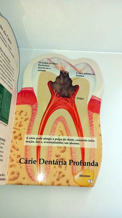 O Guia para Dentes Saudáveis
