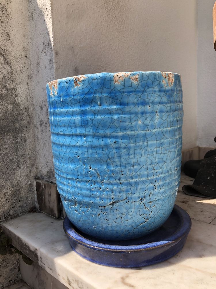 Vaso azul Horto do Campo Grande