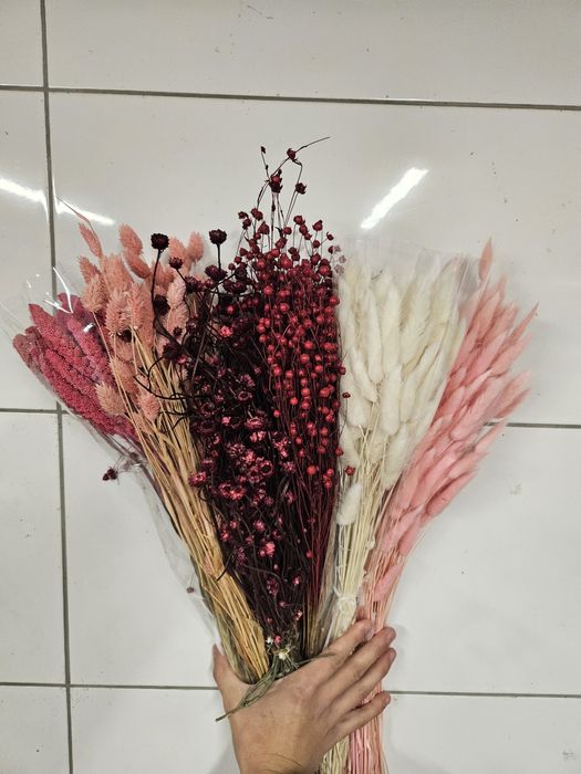 Susz kolorowy do wianków