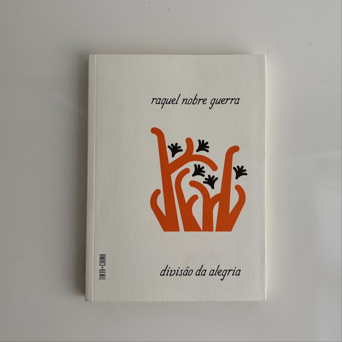 Divisão da Alegria de Raquel Nobre Guerra