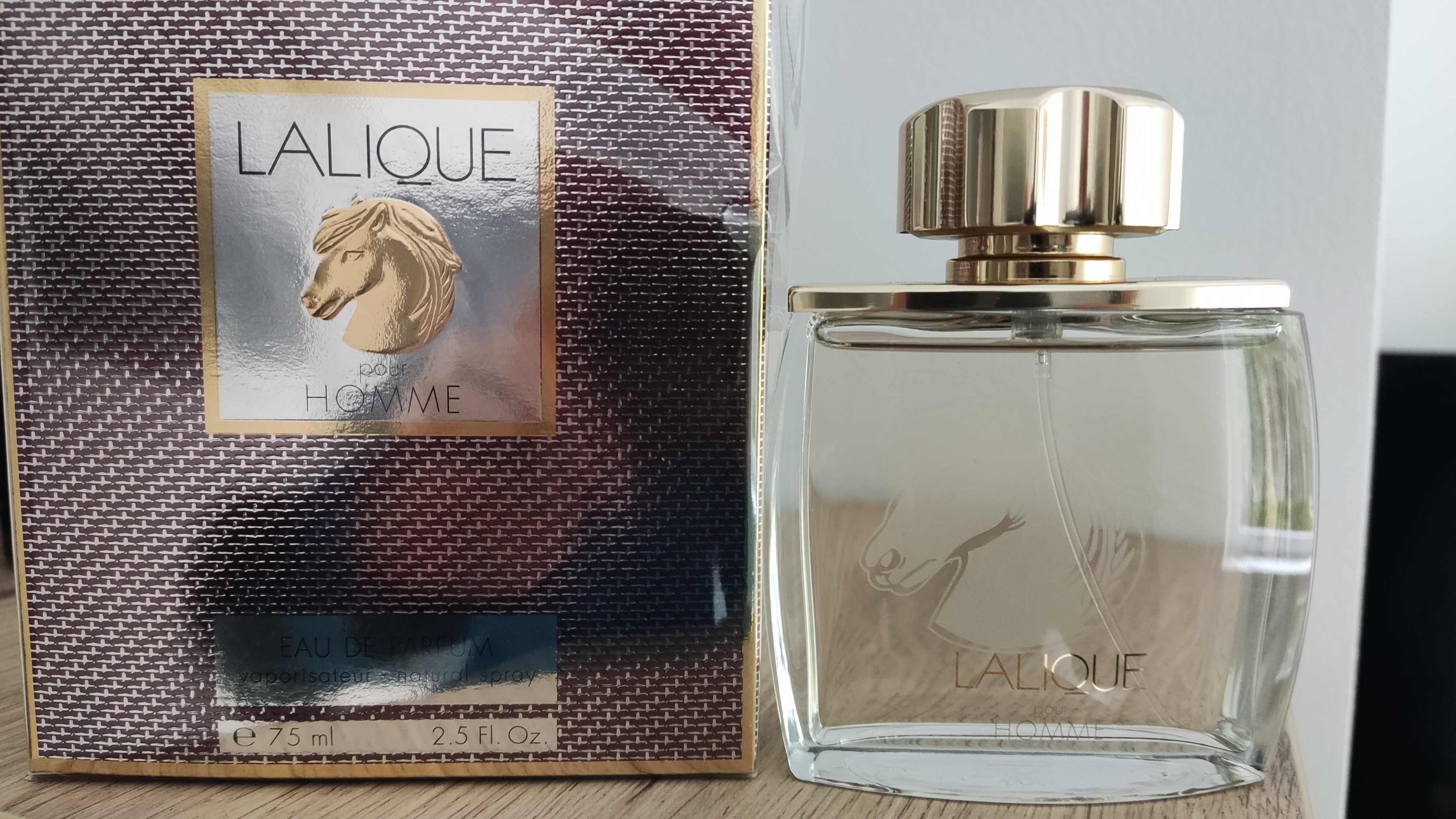 lalique pour homme equus 75 ml