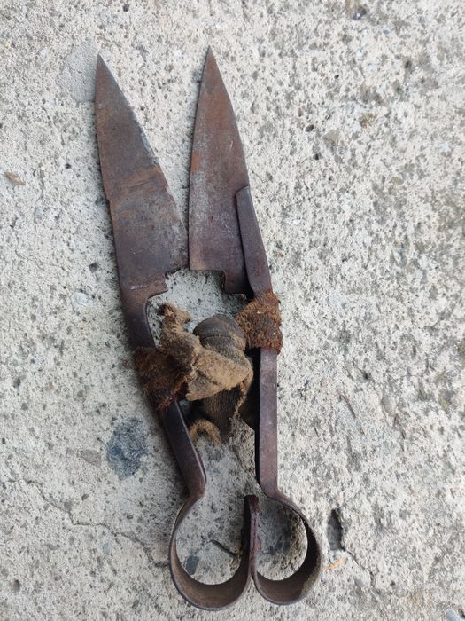 Zabytkowe nożyce do strzyżenia owiec, PRL