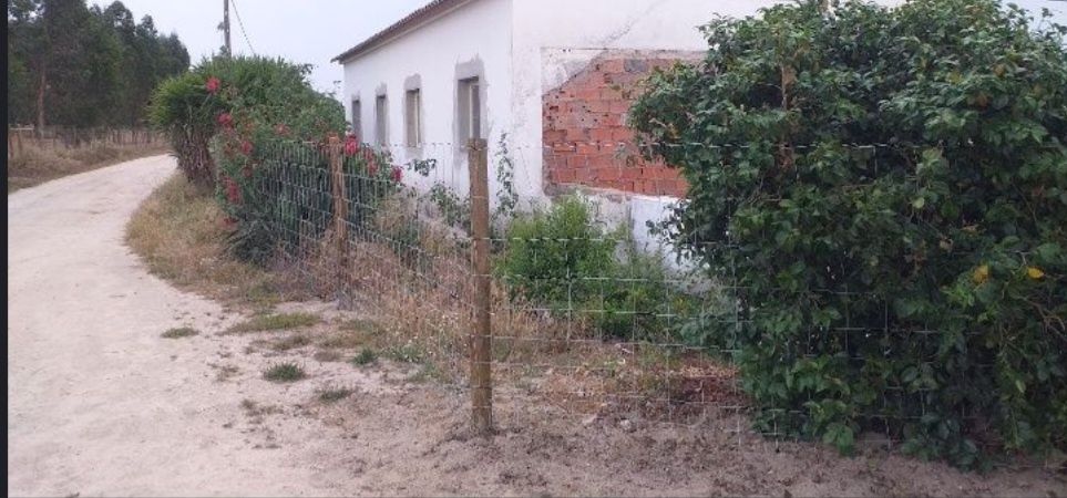 Limpeza de piscinas, terrenos,organização de armazens pinturas entre o
