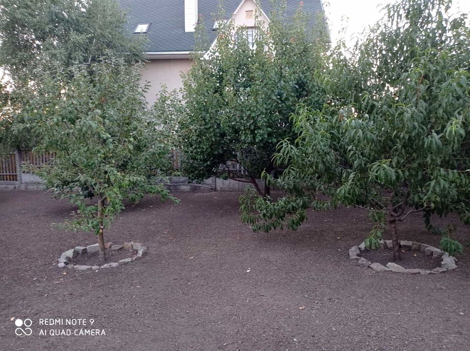 Сдам дом на Мирном