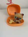 Littlest Pet Shop Kot Perski #22 wraz z akcesoriami