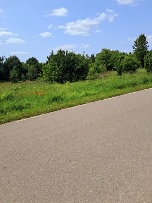 Twoja Działka Na Jurze Bez Sąsiadów Cisza Spokój