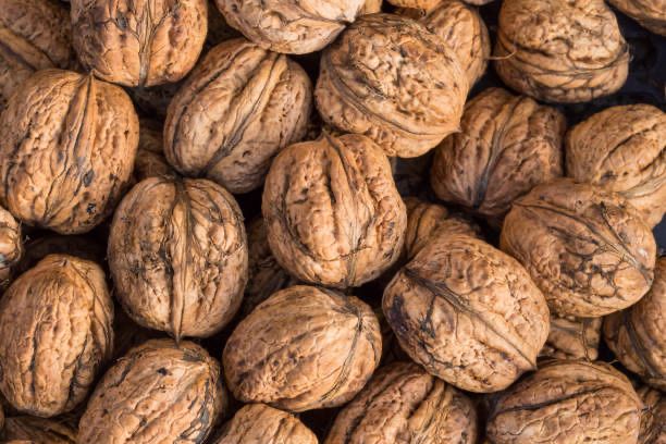 Грецькі  горіхи , волоський горіх 2025