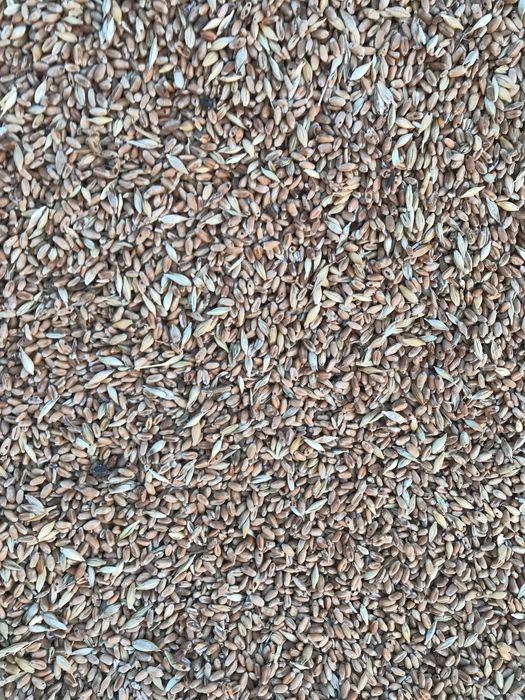 Закуповуємо відходи соняшника, зернових та ріпакових культур