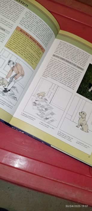 Livros variados sobre animais