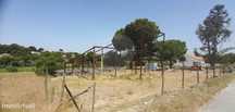 Terreno  para venda