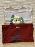 Pack 2 T-Shirts M/Comprida Jacadi (3A)
