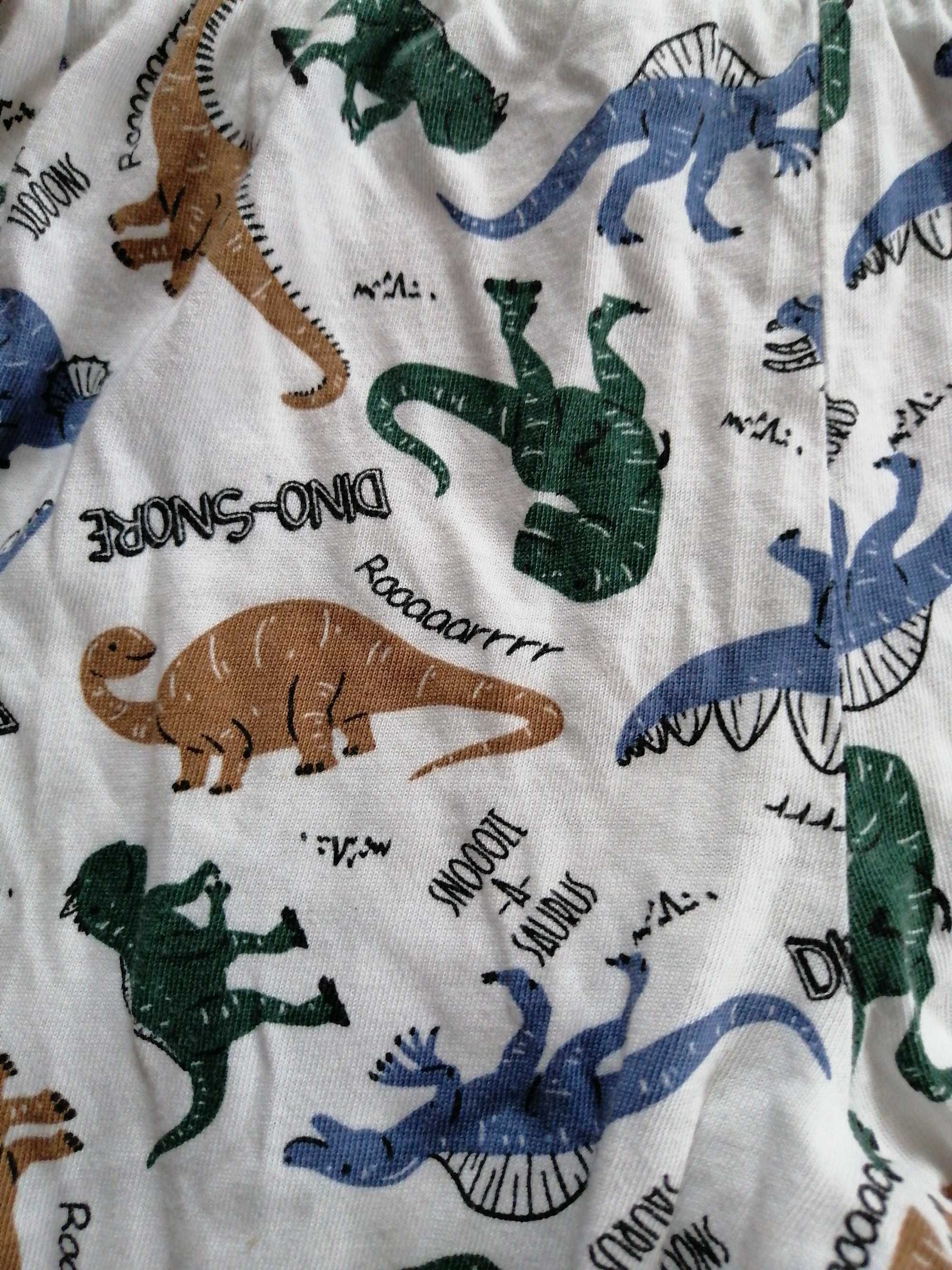Piżama chłopięca w rozmiarze 104-110 w dinozaury