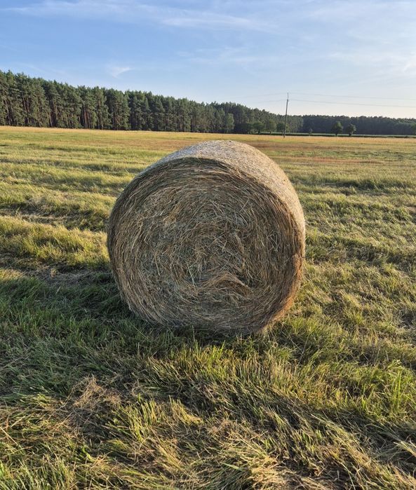 Sprzedam siano 130 średnica . Transport