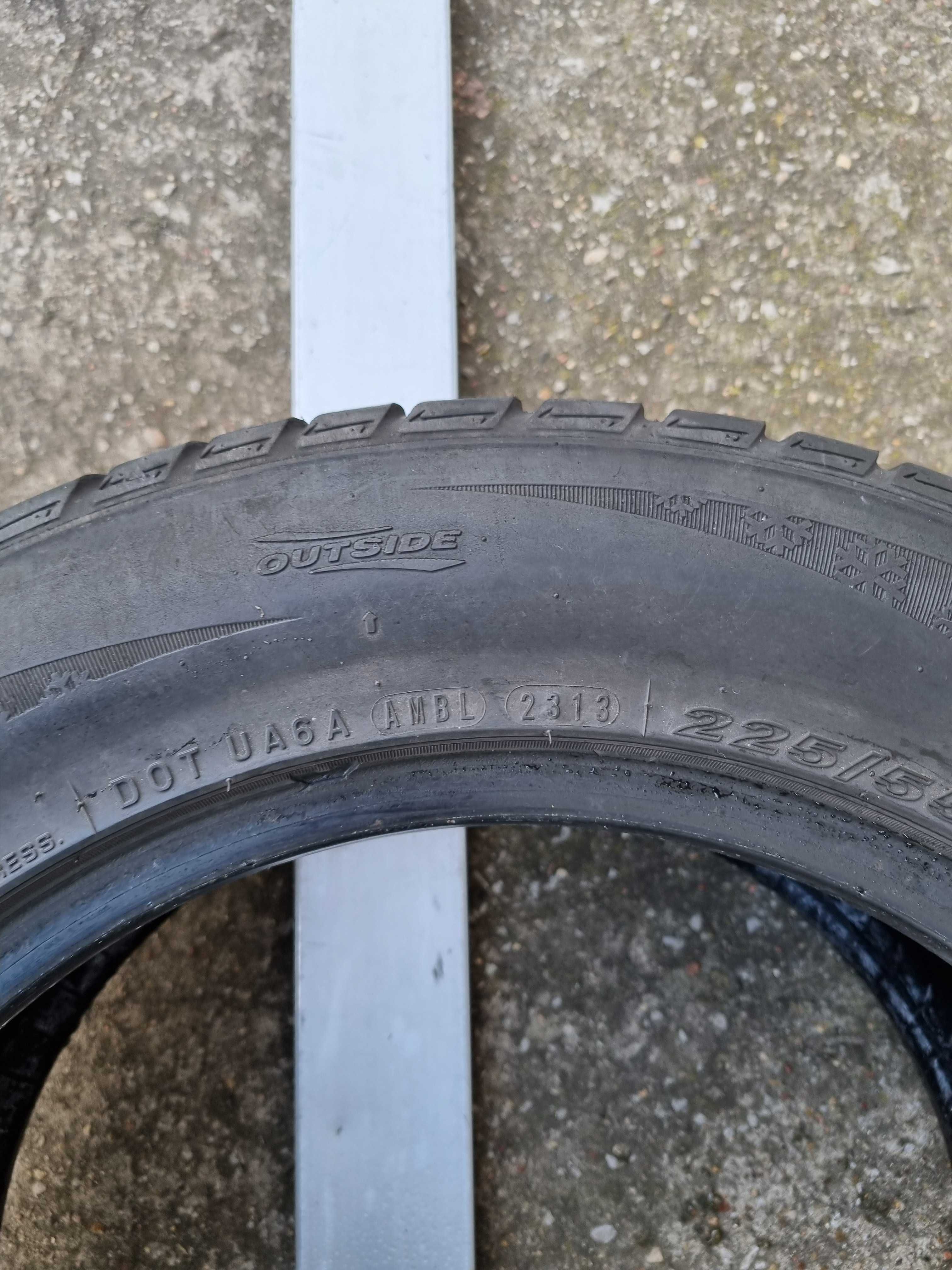 Opona zimowa NEXEN Winguard Sport 225/55 R16 99V XL SZTUKA P169