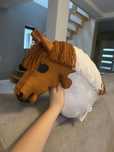 Hobby horse srokaty kasztanowaty rudy kasztan