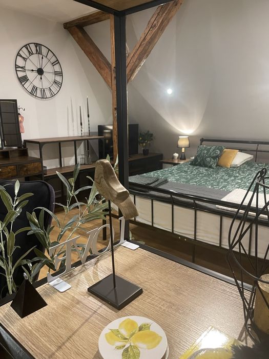 Apartament Loft  103  do wynajecia