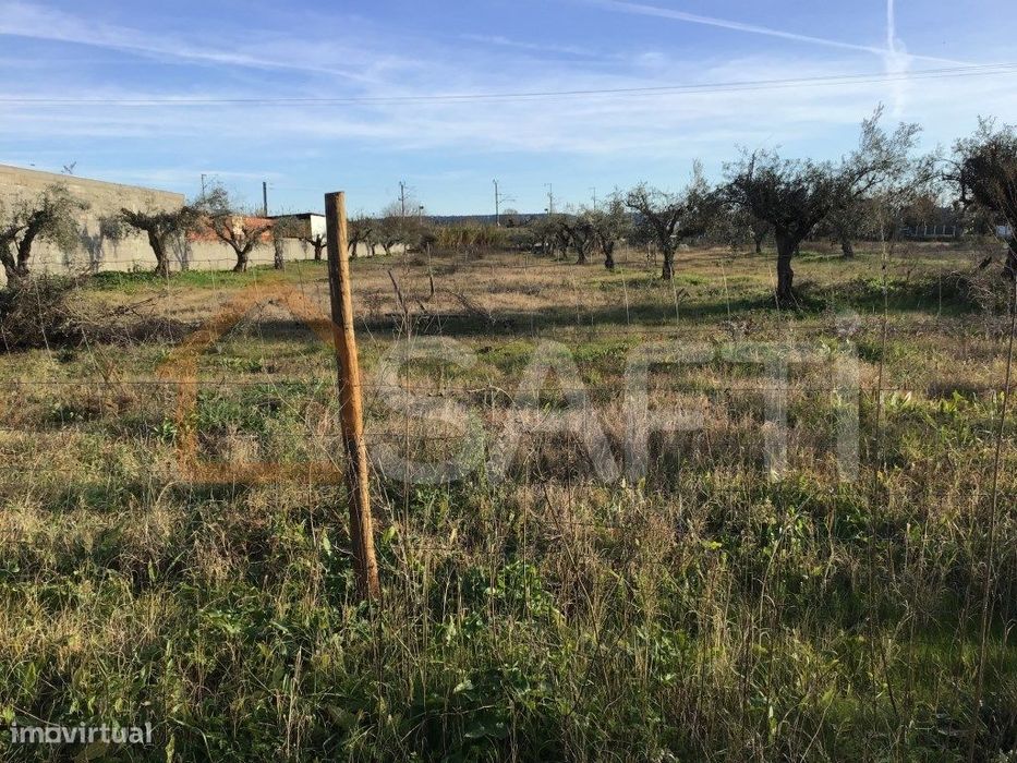 Terreno rústico (CONSTRUTIVEL) na Zona Urbana de Abrantes - Sul