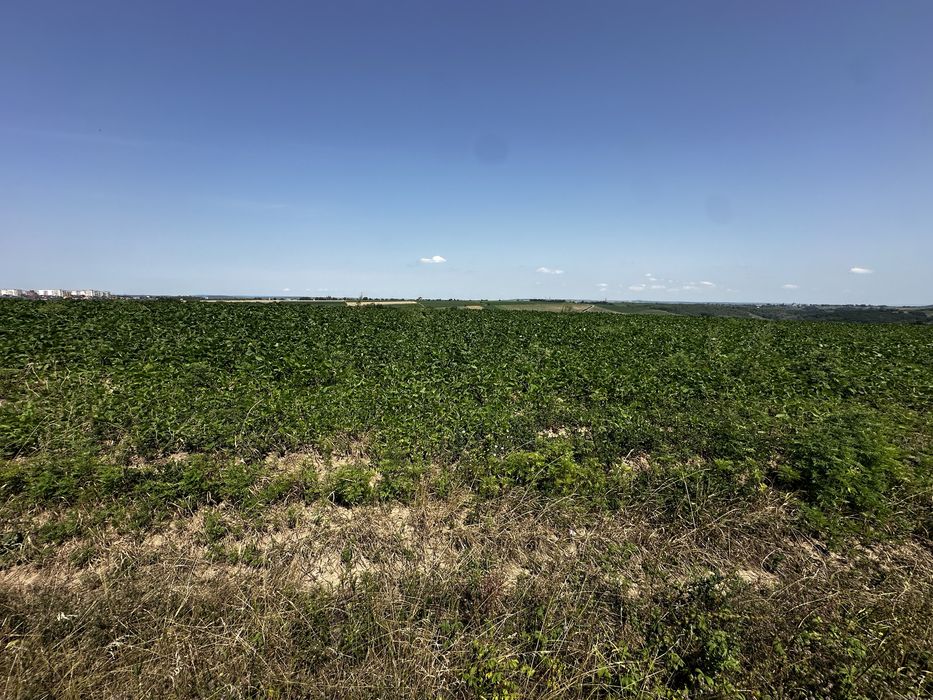 Продаж ділянки. Перша лінія біля басейну Shum