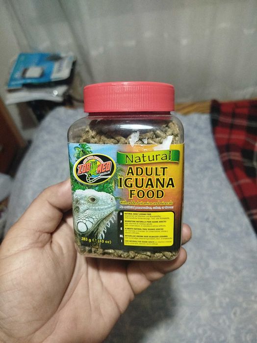 Iguanas alimentação