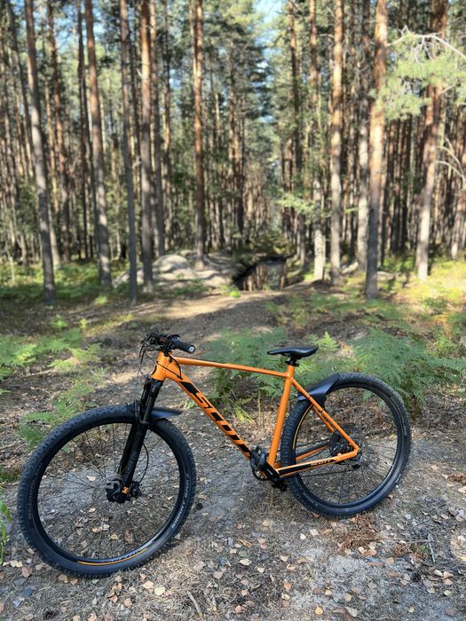 Scott scale 970 2020