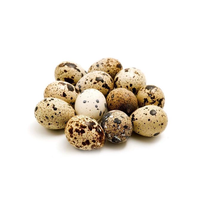 Інкубаційні перепелині яйця (фараон, техаський, англійські, смокінг)