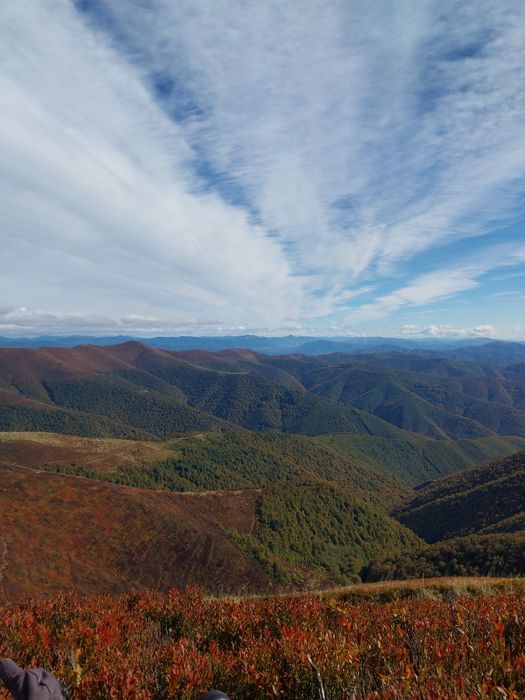 Тури в Карпати,Закарпаття.