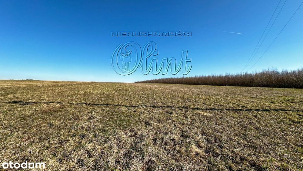 Wilkowo Nowowiejskie - działki rolne sprzedam