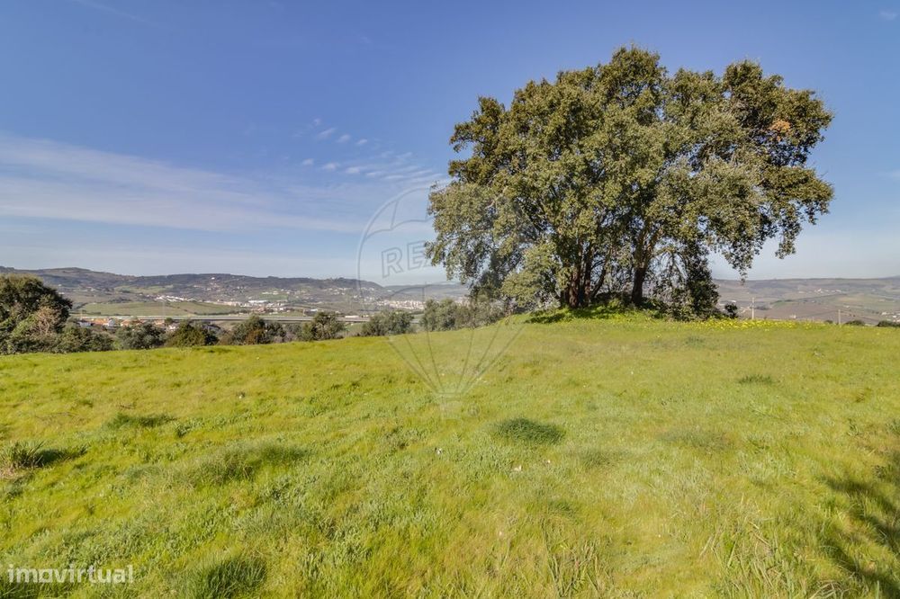 Quinta T1 para venda