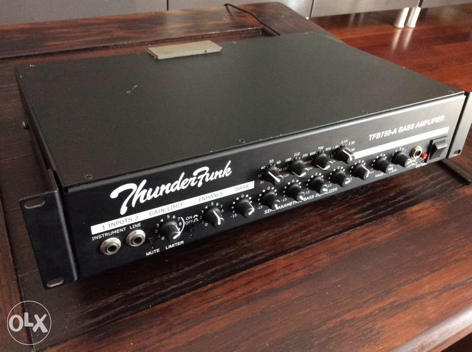 Thunderfunk TFB750 Bass Amplifier