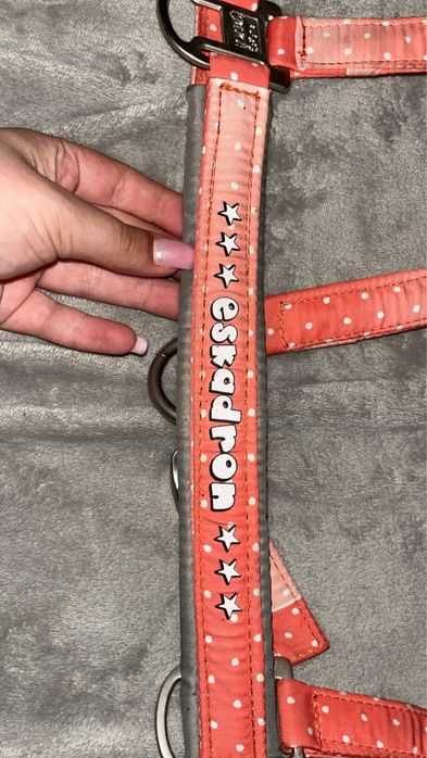 Kantar eskadron nici peachy