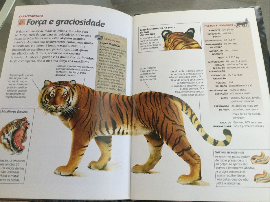 DVD -Documentário sobre os Tigres de Bengala