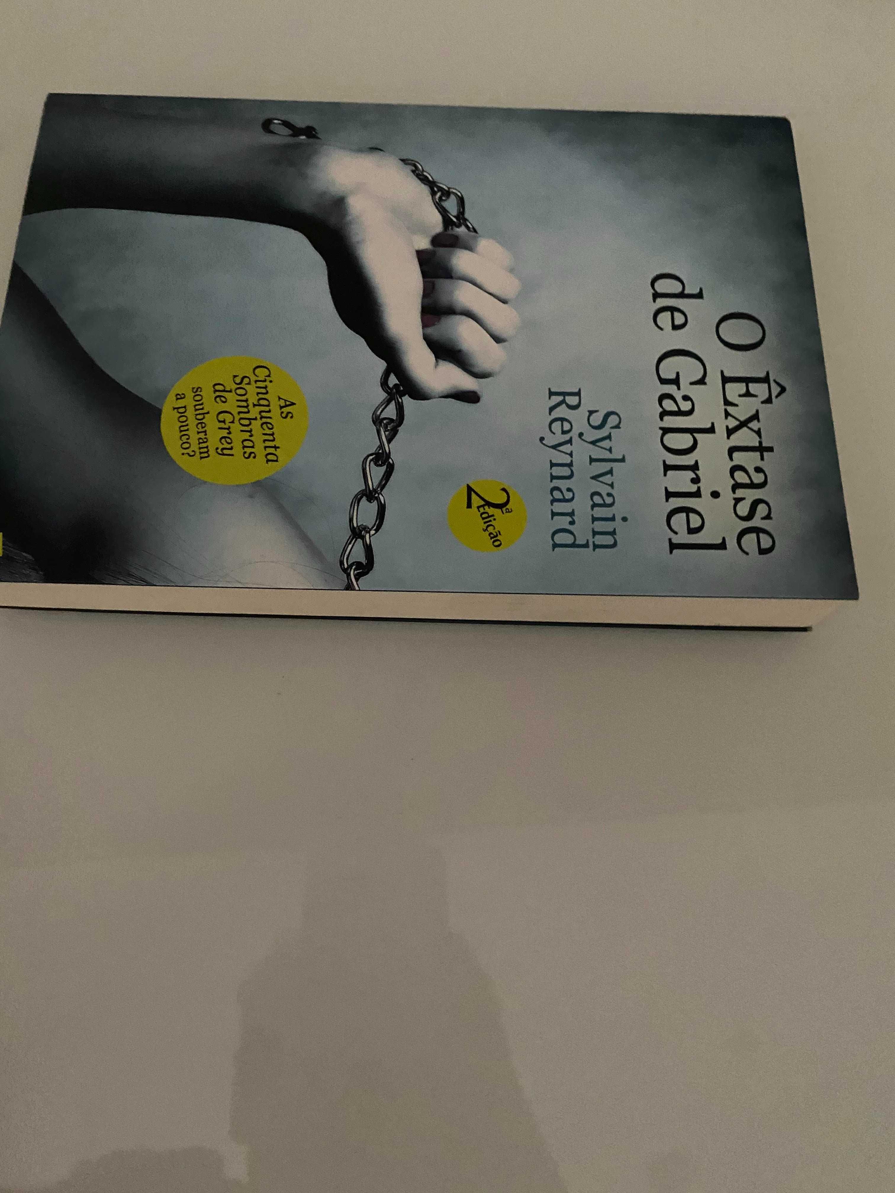 " O Êxtase de Gabriel " Sylvain Reynard - 12€