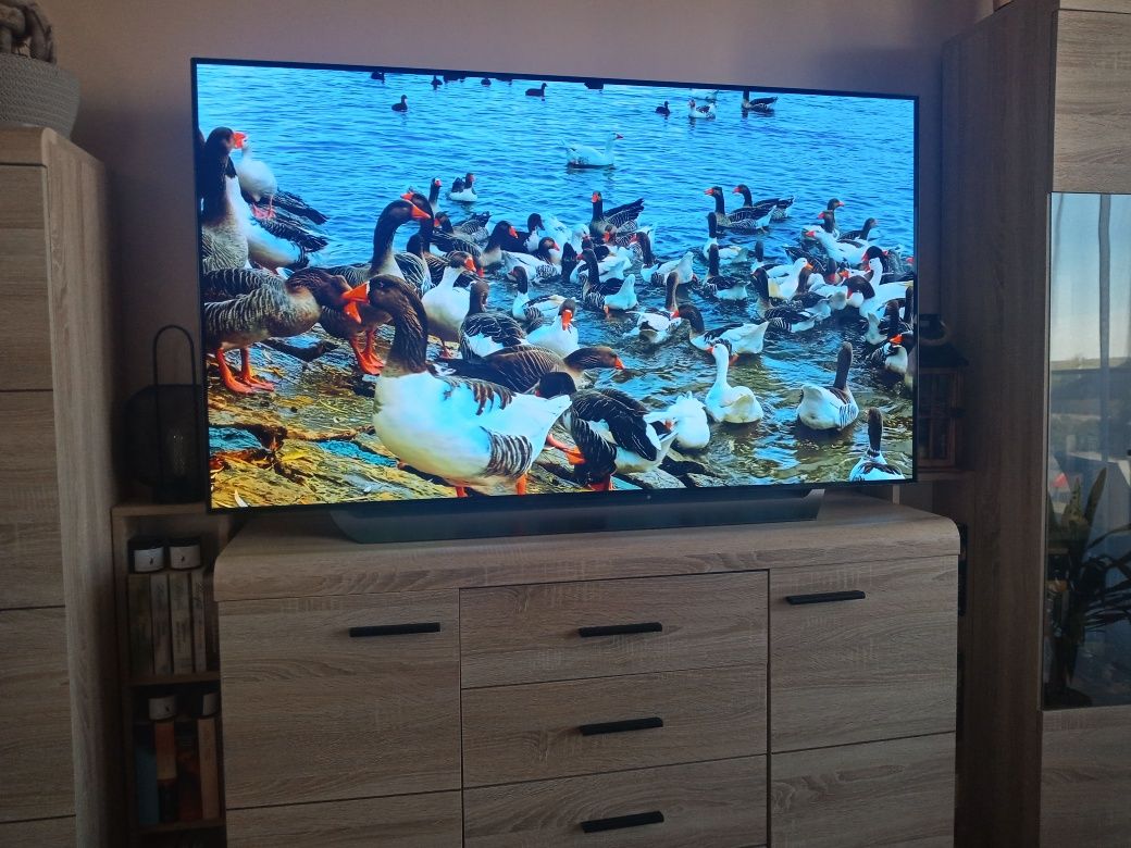TV LG OLED 65CX 4K 120hz Premium TV