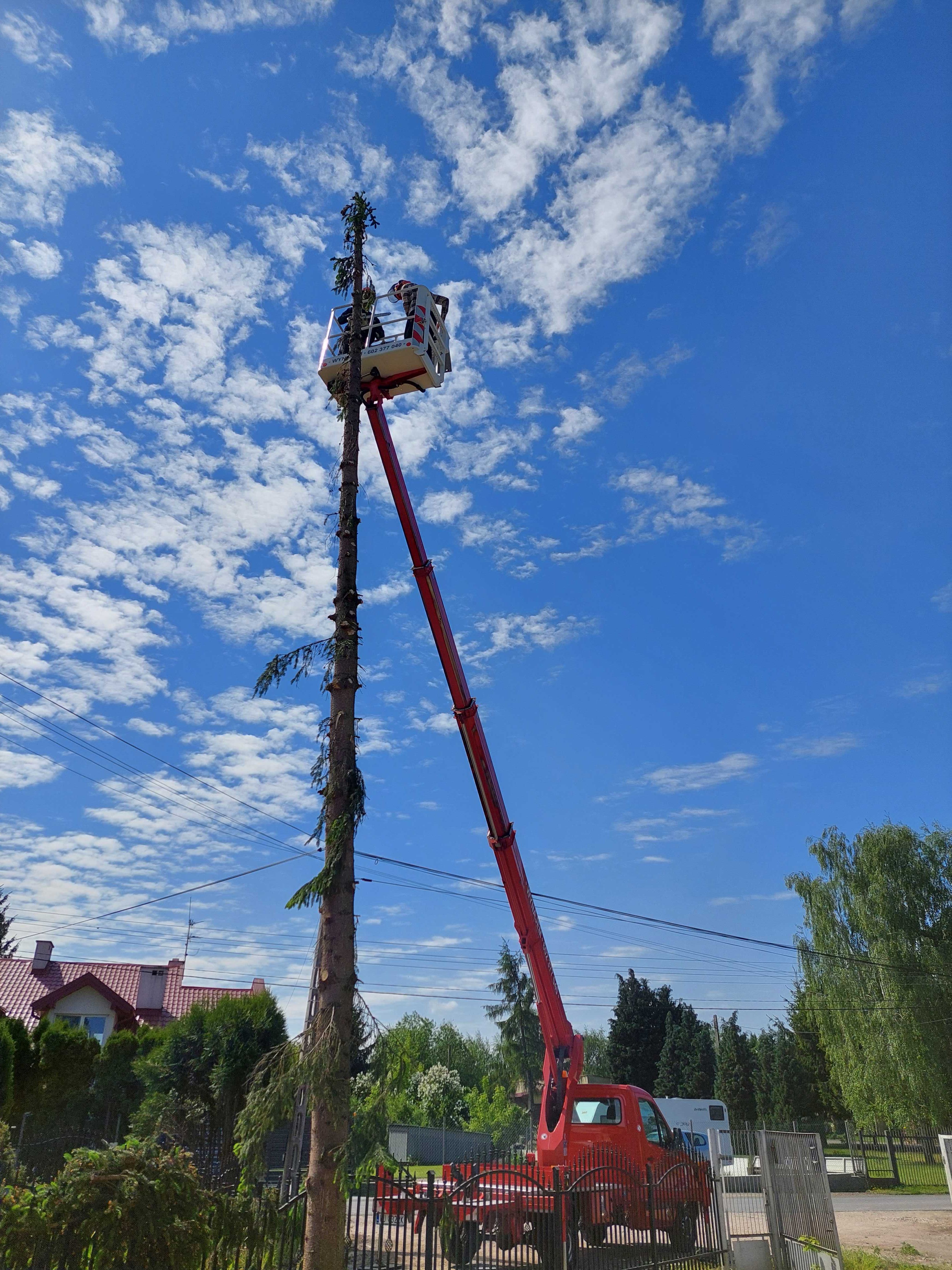 Usługi rębak do gałęzi, Wycinka Drzew, Podnośnik koszowy, wynajem