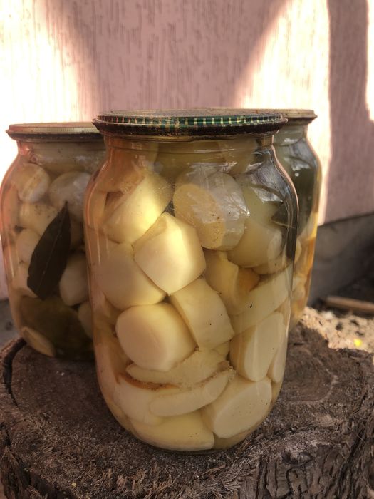 Мариновані білі гриби