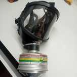 Maska Twarzowa MT213/2 DANKA S