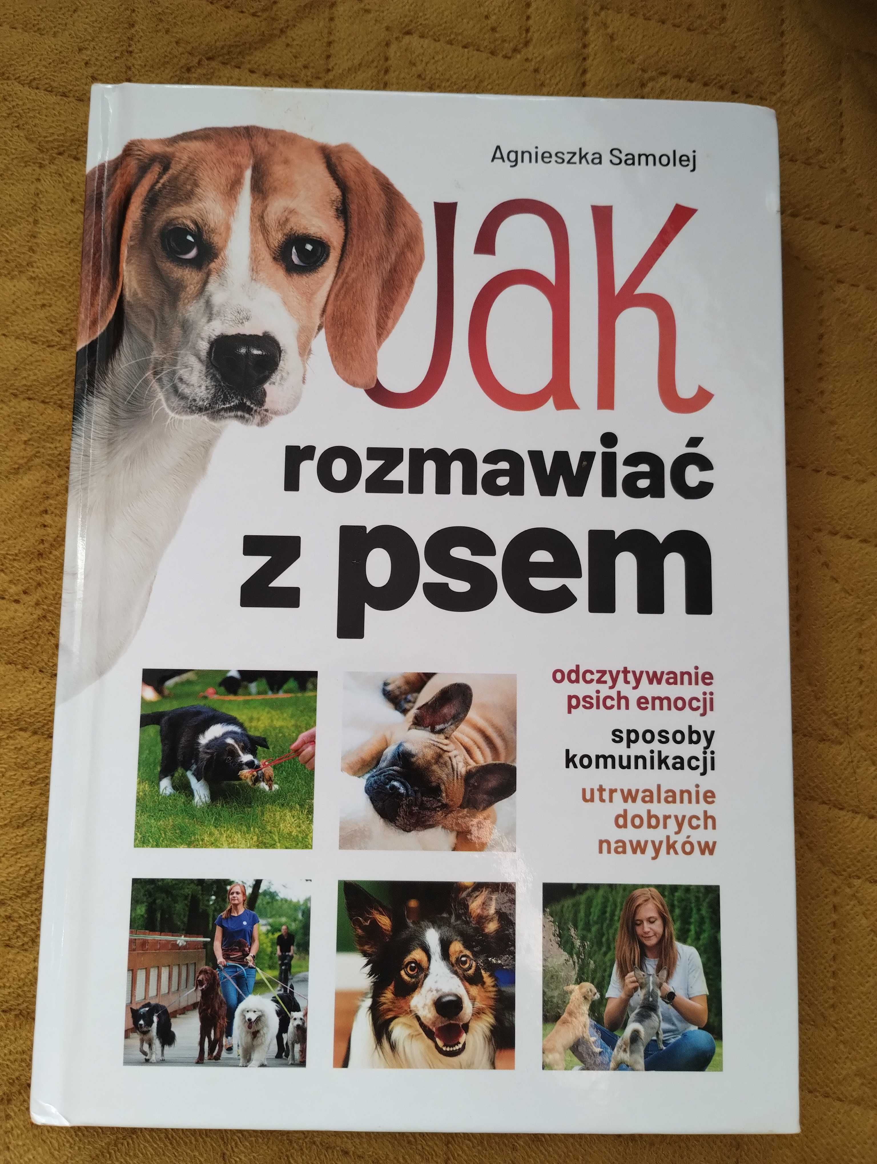 Jak rozmawiać z psem, Dobry piesek, Posłuszeństwo na co dzień