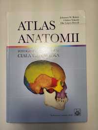 Atlas fotograficzny anatomii Yokochi 2012