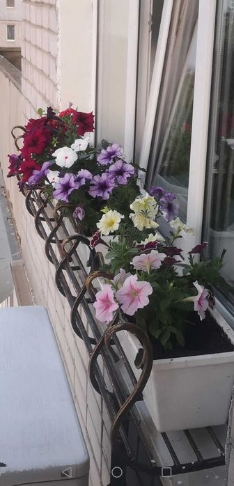 Сдам 1-к квартиру, центр (горветка), посуточно